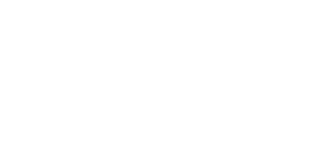 RE/MAX VIP I